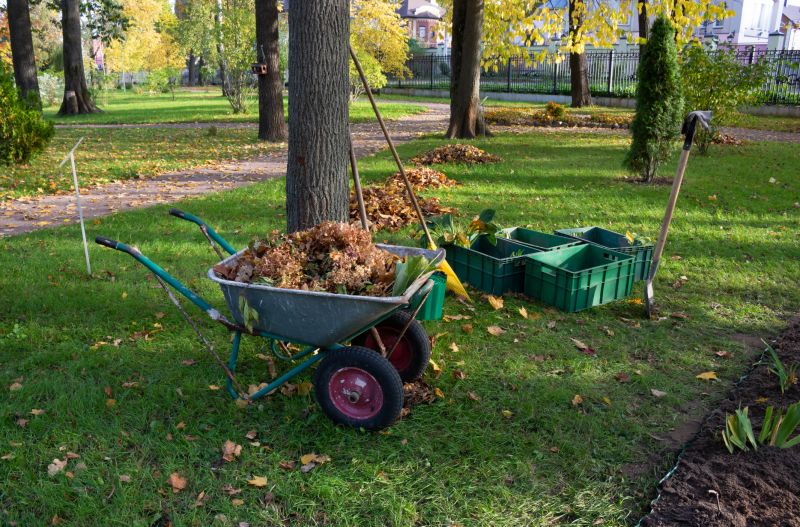 Tools for Fall Cleanup