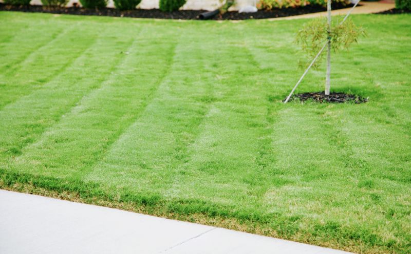 Lawn with Clear Borders